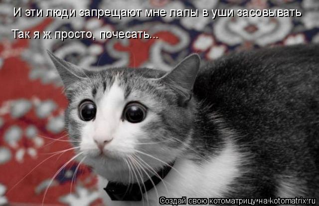 Котоматрица: И эти люди запрещают мне лапы в уши засовывать Так я ж просто, почесать...
