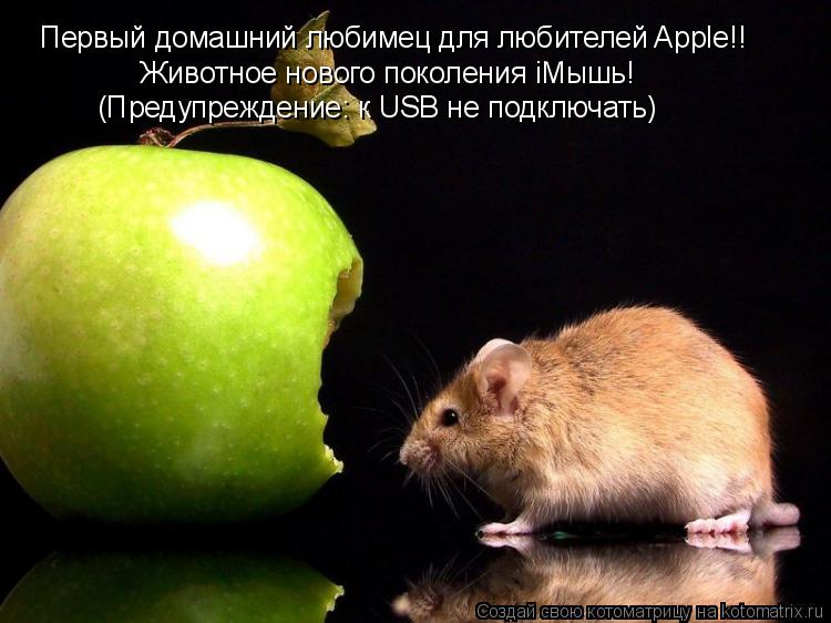 Котоматрица: Первый домашний любимец для любителей Apple!! Животное нового поколения iМышь! (Предупреждение: к USB не подключать)