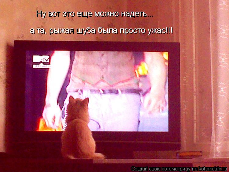 Котоматрица: Ну вот это еще можно надеть... а та, рыжая шуба была просто ужас!!!