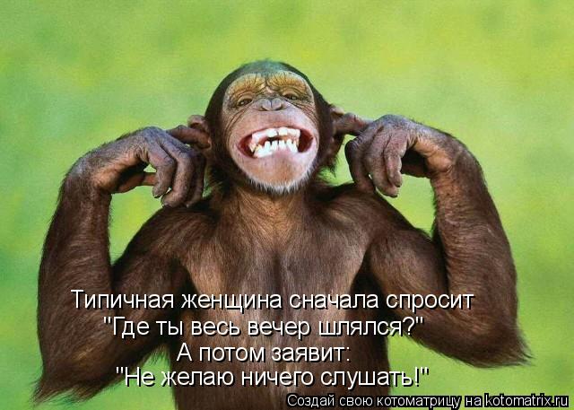 Котоматрица: Типичная женщина сначала спросит "Где ты весь вечер шлялся?" А потом заявит: "Не желаю ничего слушать!"
