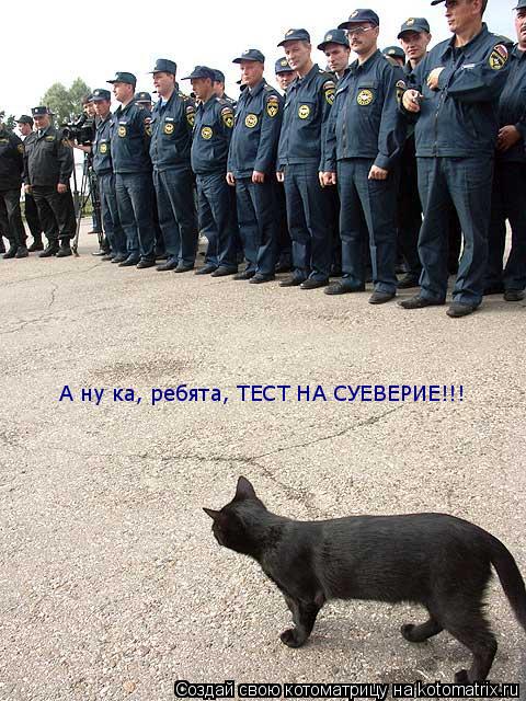 Котоматрица: А ну ка, ребята, ТЕСТ НА СУЕВЕРИЕ!!!