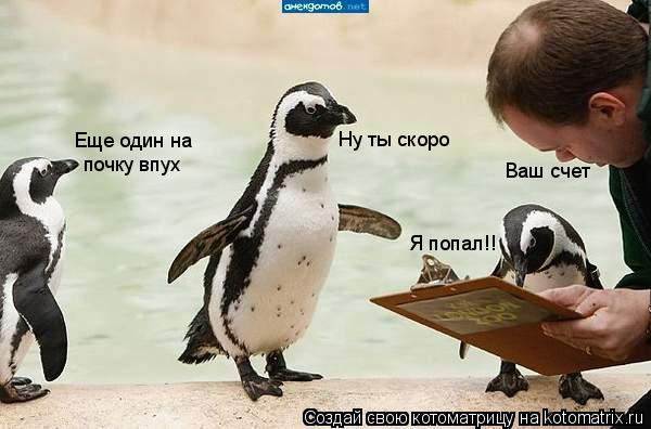 Котоматрица: Ваш счет Я попал!! Ну ты скоро Еще один на почку впух