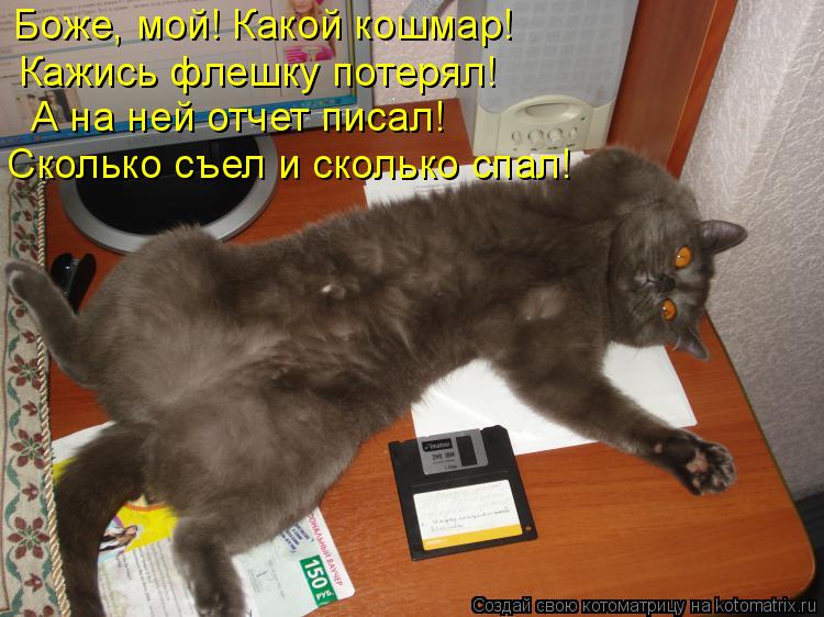 Котоматрица: Боже, мой! Какой кошмар! Кажись флешку потерял! А на ней отчет писал! Сколько съел и сколько спал!