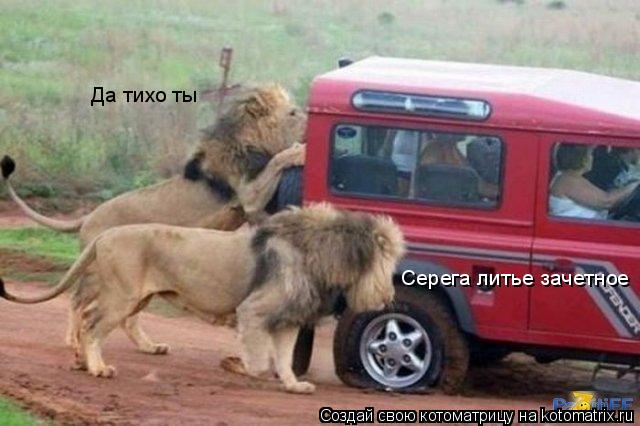 Котоматрица: Серега литье зачетное Да тихо ты