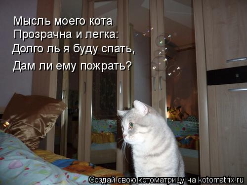 Котоматрица: Мысль моего кота Прозрачна и легка: Долго ль я буду спать, Дам ли ему пожрать?