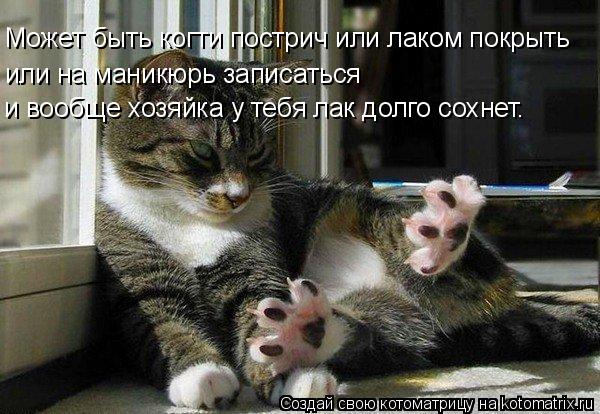 Котоматрица: Может быть когти пострич или лаком покрыть  или на маникюрь записаться  и вообще хозяйка у тебя лак долго сохнет.