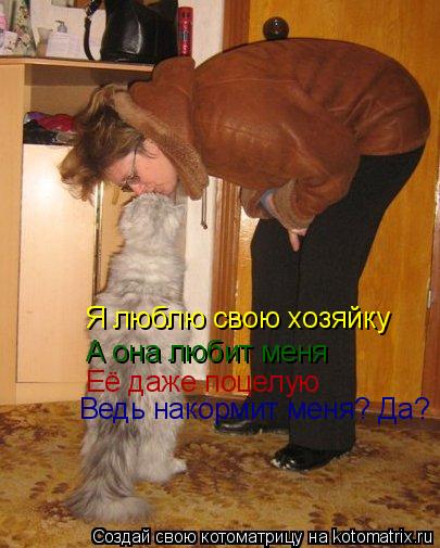 Котоматрица: Я люблю свою хозяйку Я люблю свою хозяйку А она любит меня Её даже поцелую Ведь накормит меня? Да?