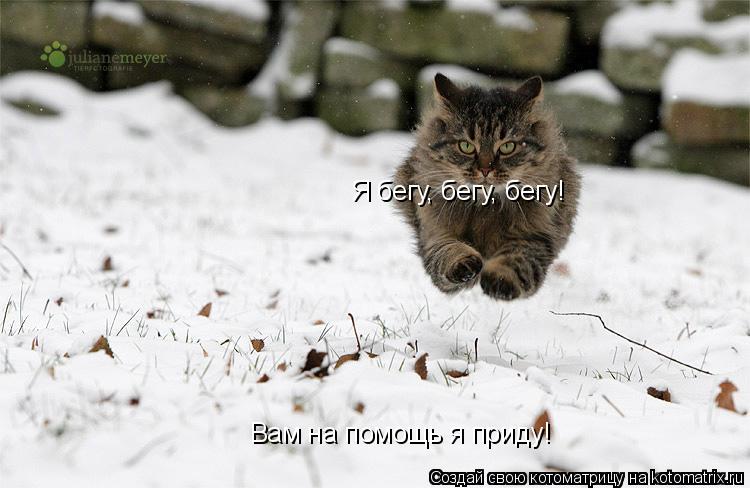 Котоматрица: Я бегу, бегу, бегу! Я бегу, бегу, бегу! Вам на помощь я приду! Вам на помощь я приду!