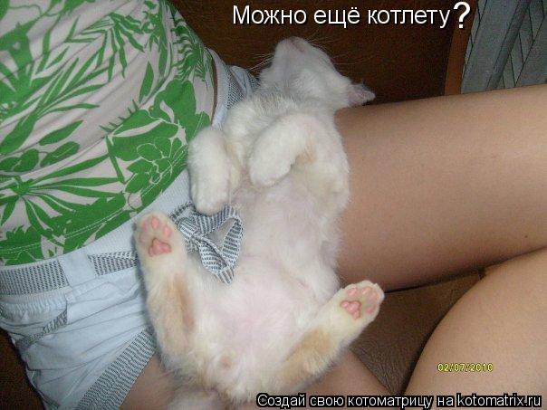 Котоматрица: Можно ещё котлету ?