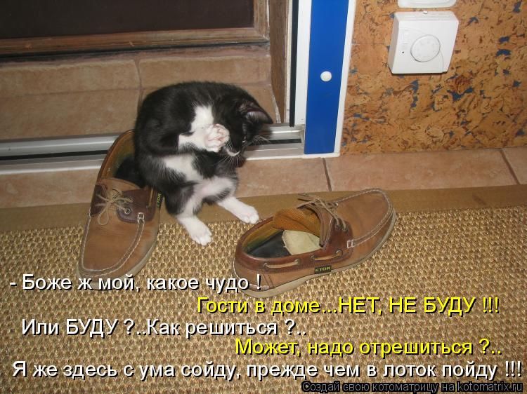Котоматрица: - Боже ж мой, какое чудо ! Или БУДУ ?..Как решиться ?.. Я же здесь с ума сойду, прежде чем в лоток пойду !!! Может, надо отрешиться ?.. Гости в доме..