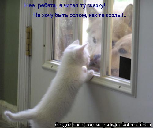 Котоматрица: Нее, ребята, я читал ту сказку!.. Не хочу быть ослом, как те козлы!..