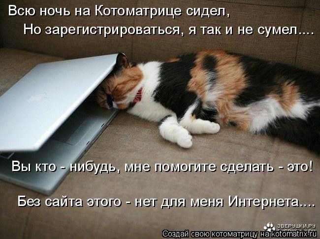 Котоматрица: Всю ночь на Котоматрице сидел, Но зарегистрироваться, я так и не сумел.... Вы кто - нибудь, мне помогите сделать - это! Без сайта этого - нет для 