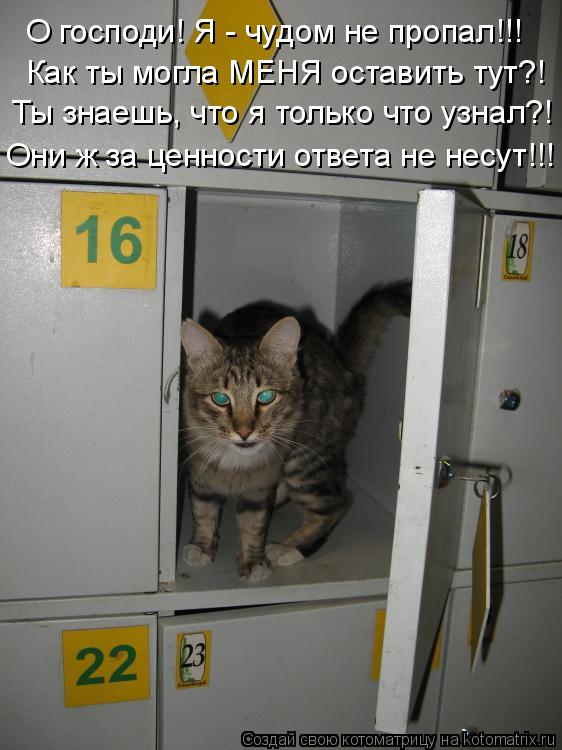 О господи! Я - чудом не пропал!!! Как ты могла МЕНЯ оставить тут?! Ты знаешь, что я только что узнал?... Котоматрица: О господи! Я - чудом не пропал!!! Как ты могла МЕНЯ оставить тут?! Ты знаешь, что я только что узнал?! Они ж за ценности ответа не несут!!!