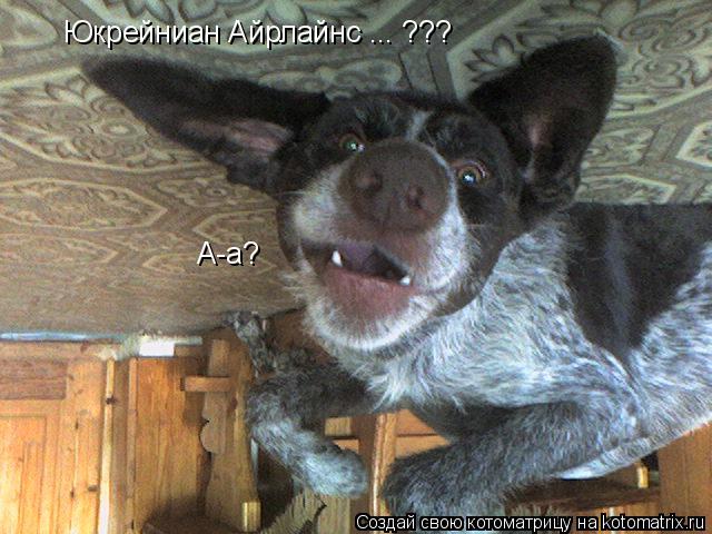 Котоматрица: Юкрейниан Айрлайнс ... ???   А-а?