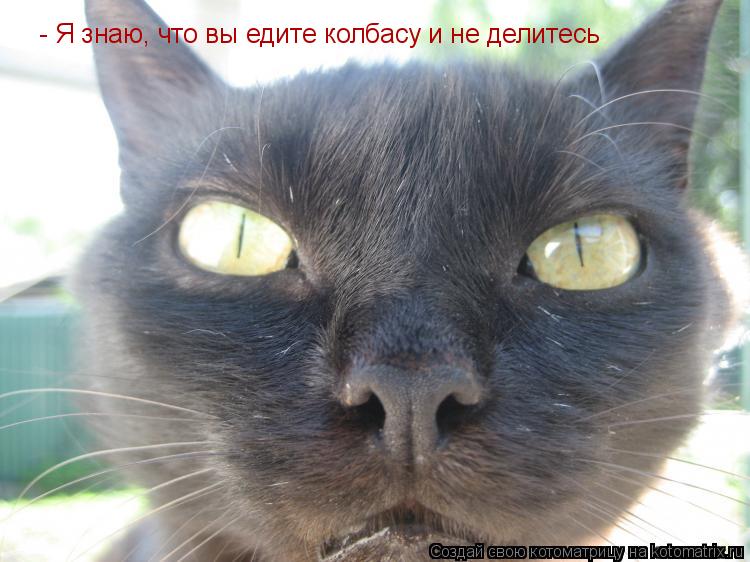 Котоматрица: - Я знаю, что вы едите колбасу и не делитесь
