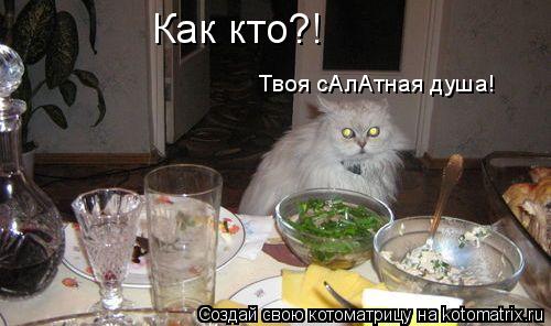 Котоматрица: Твоя сАлАтная душа! Как кто?!