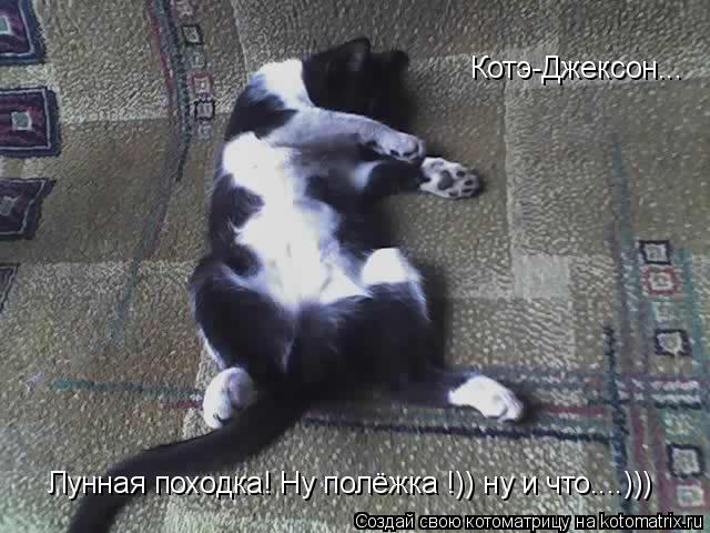 Котоматрица: Котэ-Джексон... Лунная походка! Ну полёжка !)) ну и что....)))