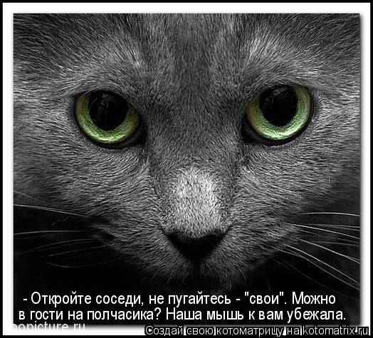 Котоматрица: - Откройте соседи, не пугайтесь - "свои". Можно  в гости на полчасика? Наша мышь к вам убежала.