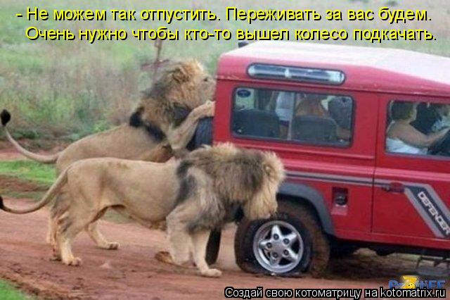 Котоматрица: - Не можем так отпустить. Переживать за вас будем. Очень нужно чтобы кто-то вышел колесо подкачать.