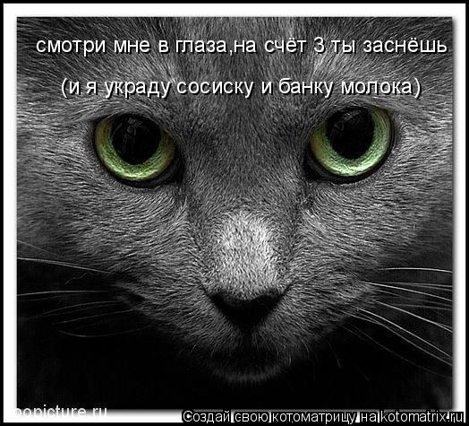 Котоматрица: смотри мне в глаза,на счёт 3 ты заснёшь (и я украду сосиску и банку молока)