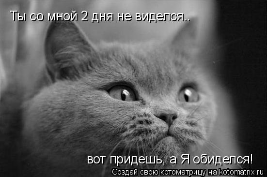 Котоматрица: Ты со мной 2 дня не виделся.. вот придешь, а Я обиделся! Ты со мной 2 дня не виделся.. вот придешь, а Я обиделся!