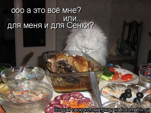 Котоматрица: ооо а это всё мне? или... для меня и для Сенки?