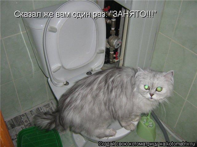 Котоматрица: Сказал же вам один раз: "ЗАНЯТО!!!"