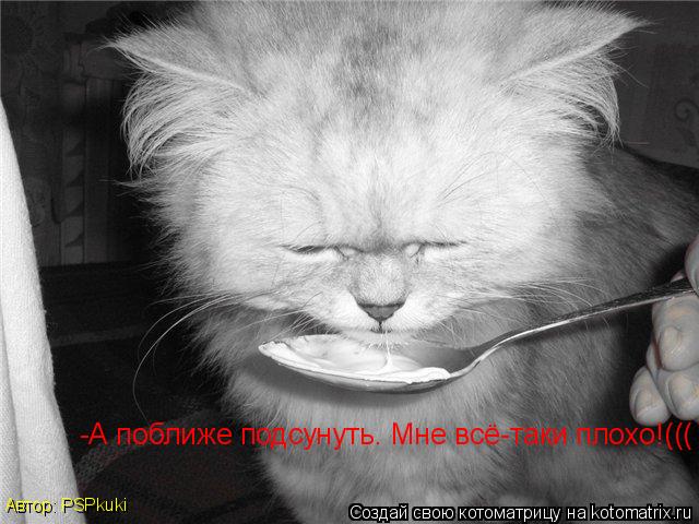 Котоматрица: -А поближе подсунуть. Мне всё-таки плохо!((( Автор: PSPkuki