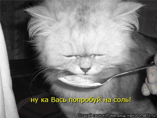 Котоматрица: ну ка Вась попробуй на соль!