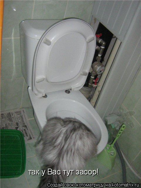 Котоматрица: так у Вас тут засор!