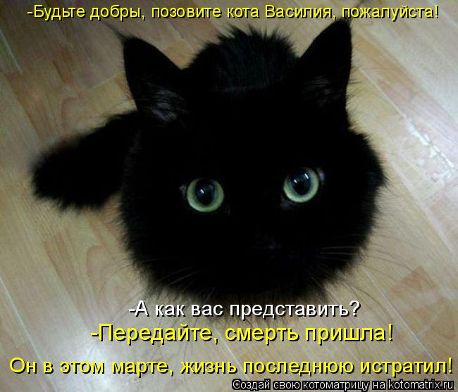 Котоматрица: -Будьте добры, позовите кота Василия, пожалуйста! -А как вас представить? -Передайте, смерть пришла!  Он в этом марте, жизнь последнюю истрати