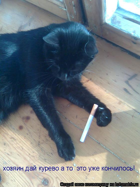 Котоматрица: хозяин дай курево а то  это уже кончилось!