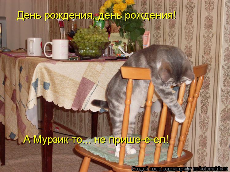 Котоматрица: День рождения, день рождения! А Мурзик-то... не прише-е-ел!