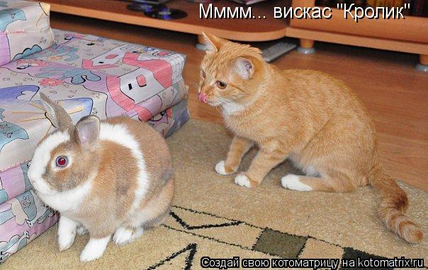 Котоматрица: Мммм... вискас "Кролик"