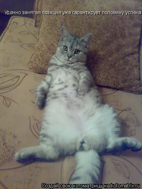 Котоматрица: Удачно занятая позиция уже гарантирует половину успеха