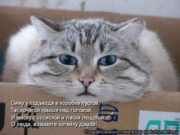 Сижу у подъезда в коробке пустой, Так хочется крыши над головой, Им И миску с сосиской и ласки людско... Котоматрица: Сижу у подъезда в коробке пустой, Так хочется крыши над головой, Им И миску с сосиской и ласки людской... О люди, возьмите котейку домой!