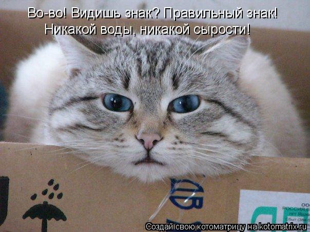 Во-во! Видишь знак? Правильный знак! Никакой воды, никакой сырости!... Котоматрица: Во-во! Видишь знак? Правильный знак! Никакой воды, никакой сырости!