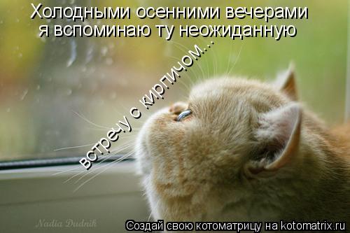 Котоматрица: Холодными осенними вечерами  я вспоминаю ту неожиданную встречу с кирпичом...