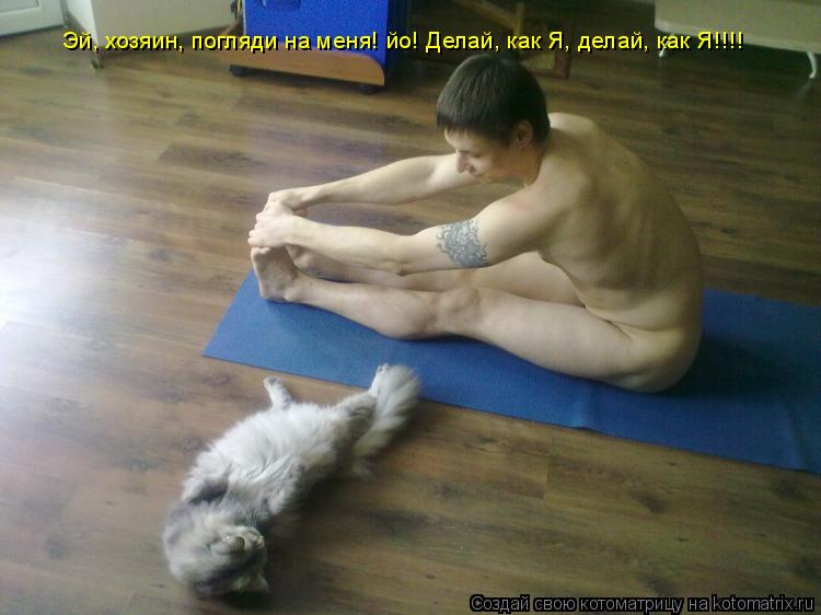 Котоматрица: Эй, хозяин, погляди на меня! йо! Делай, как Я, делай, как Я!!!!