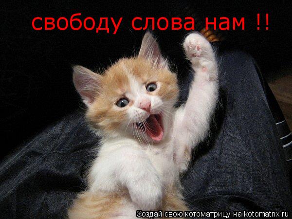 Котоматрица: свободу слова нам !!