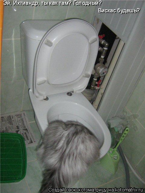Котоматрица: Эй, Ихтиандр, ты как там? Голодный? Вискас будешь?
