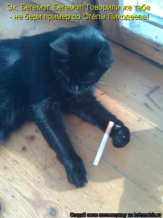 Котоматрица: Эх, Бегемот, Бегемот! Говорили же тебе  - не бери пример со Стёпы Лиходеева!