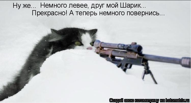 Котоматрица: Ну же... Немного левее, друг мой Шарик... Прекрасно! А теперь немного повернись...
