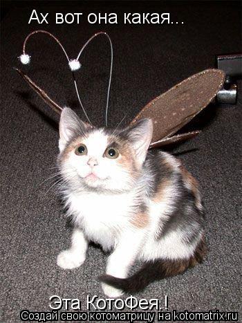 Котоматрица: Ах вот она какая... Эта КотоФея.!
