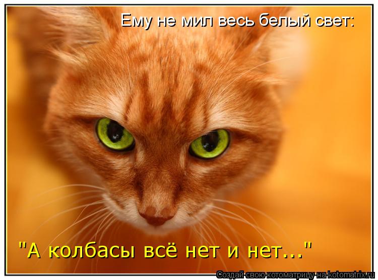 Котоматрица: Ему не мил весь белый свет: "А колбасы всё нет и нет..."
