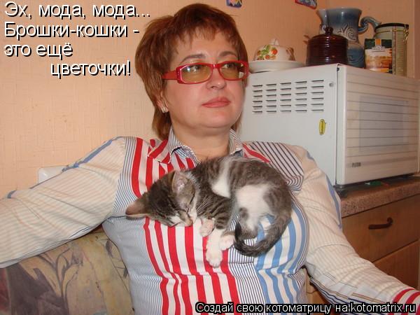 Котоматрица: Эх, мода, мода... Брошки-кошки - это ещё цветочки!