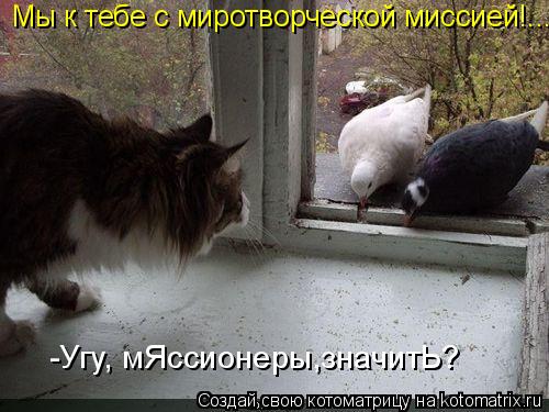 Котоматрица: Мы к тебе с миротворческой миссией!... -Угу, мЯссионеры,значитЬ?