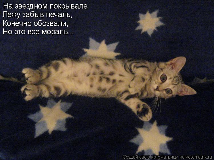 Котоматрица: На звездном покрывале Лежу забыв печаль, Конечно обозвали, Но это все мораль...
