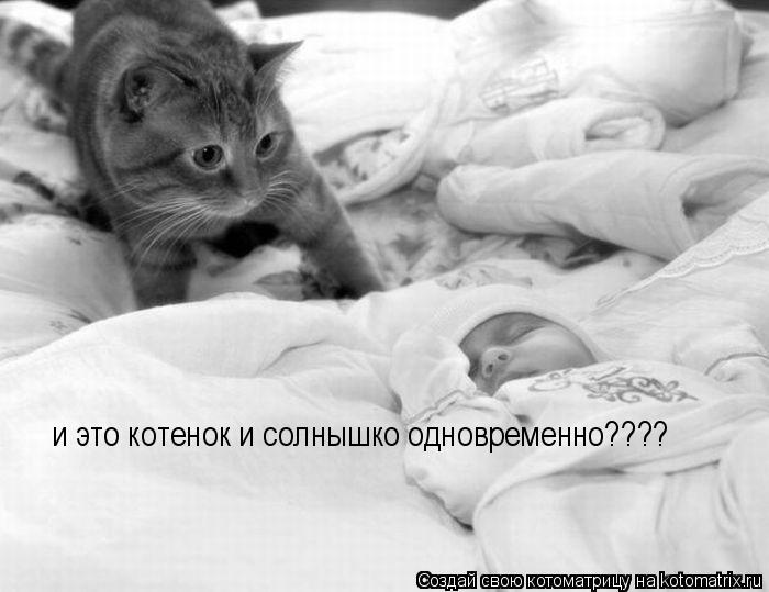 Котоматрица: и это котенок и солнышко одновременно????