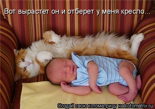 Котоматрица: Вот вырастет он и отберет у меня кресло...